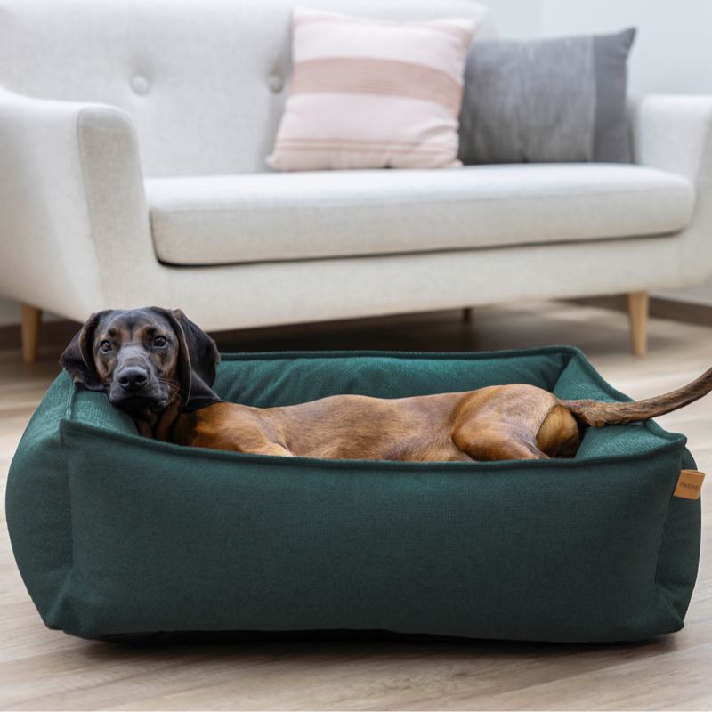 Kerbl Pet Cuddly Bed Oliver 60 x 70cm (L x W)