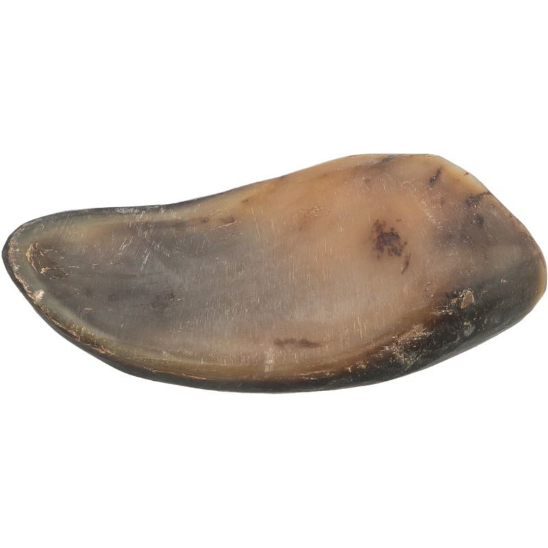 Trixie Filled Buffalo Horn 180g