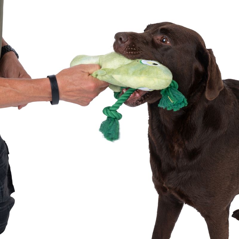 TIAKI Pedro the Chameleon Dog Toy approx. 28 x 15 x 6cm (L x W x H)