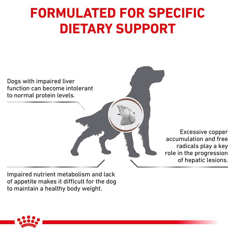 Royal Canin Veterinary Dog - Hepatic 7kg