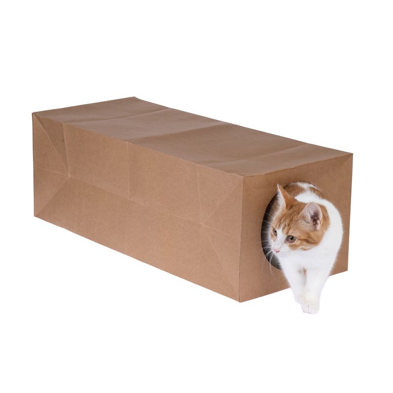 zooplus Basics Paper Cat Tunnel 65 x 27 x 22 cm (L x W x H)