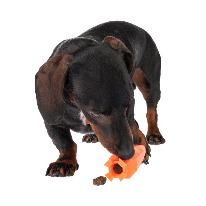 TIAKI Sniffing Toy Carrot L 14.2 x W 4.5 x H 4.5 cm