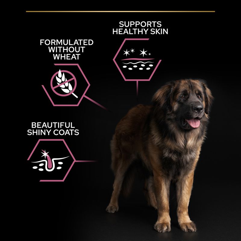 PURINA PRO PLAN Large Robust Adult Sensitive Skin Salmon 14kg