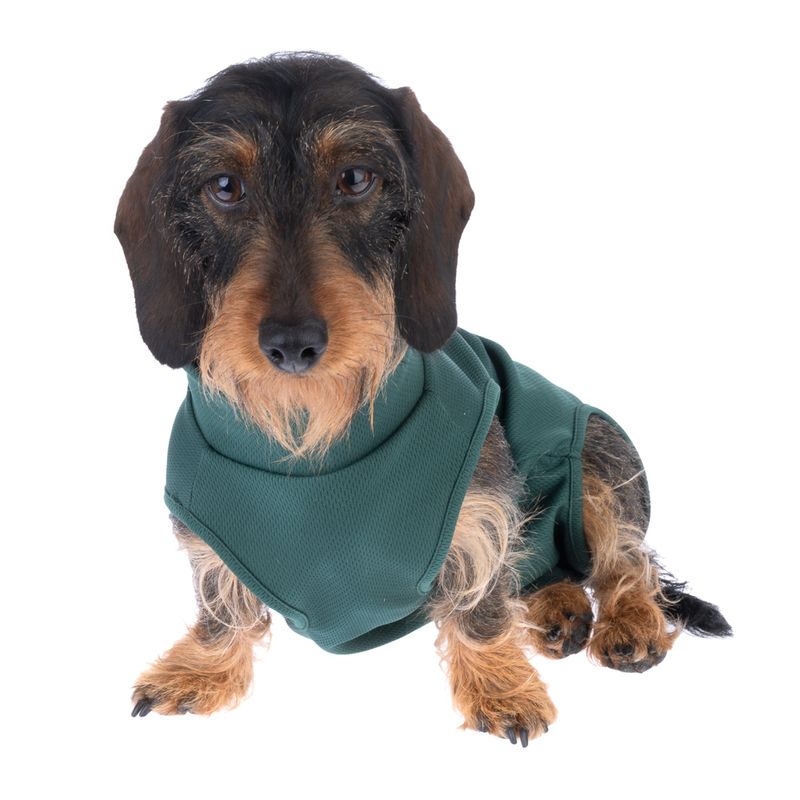 kooa OP-Bodysuit for Female Dogs Size M: approx. 45cm back length