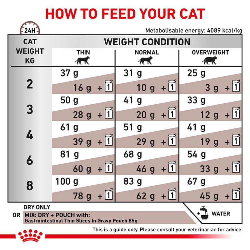 Royal Canin Veterinary Cat - Gastrointestinal 2kg
