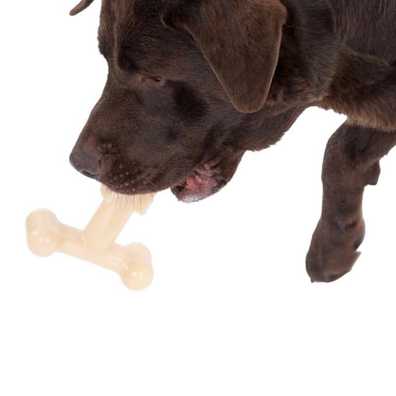 TIAKI T-Shaped Peanut Butter Flavour Chew Toy 14.4 x 12 x 5 cm (L x W x H)