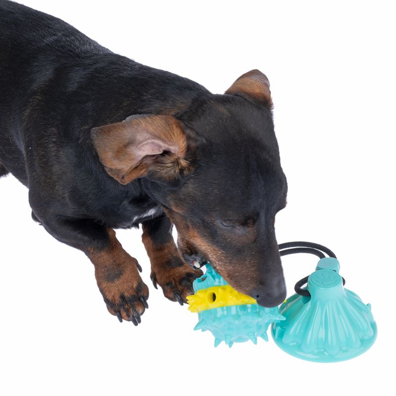 TIAKI Spiky Treat Ball with Suction Cup 1 Toy