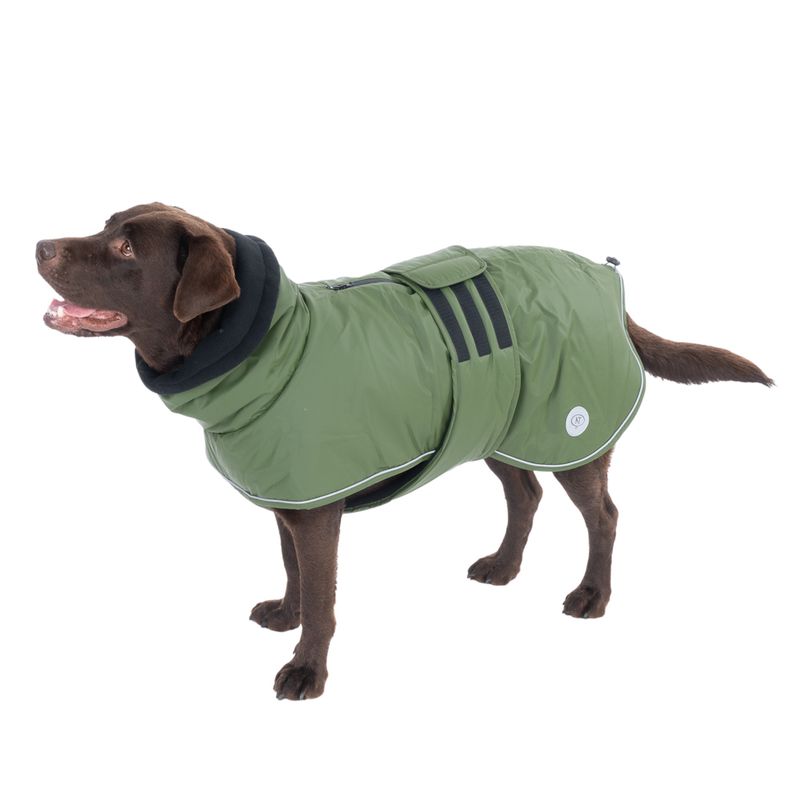 Nomad Tales Bloom Dog Coat - Classic approx. 40cm Back Length