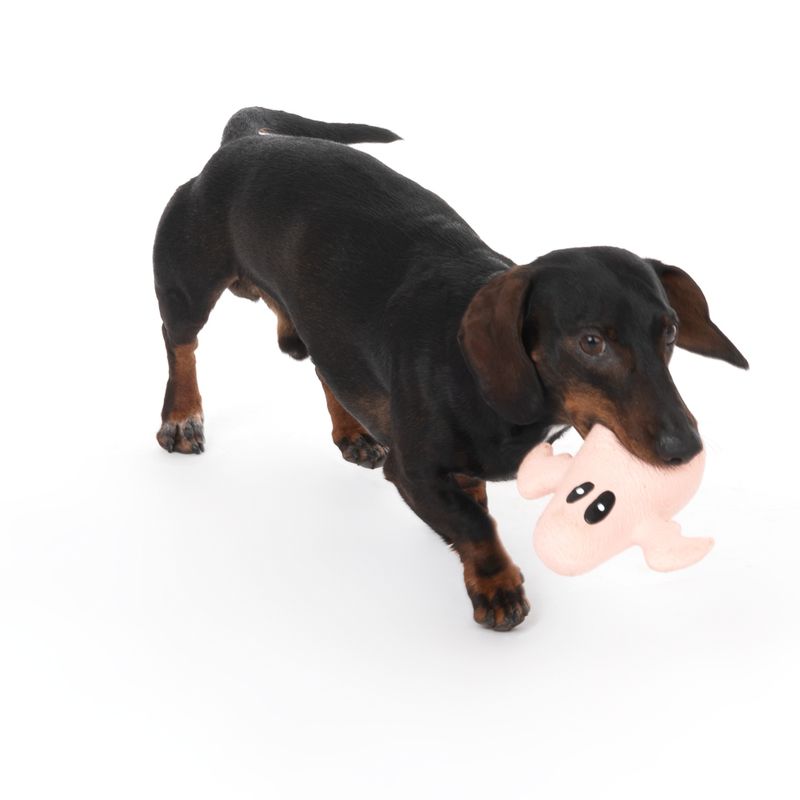 TIAKI Latex Ghost Dog Toy 1 Toy