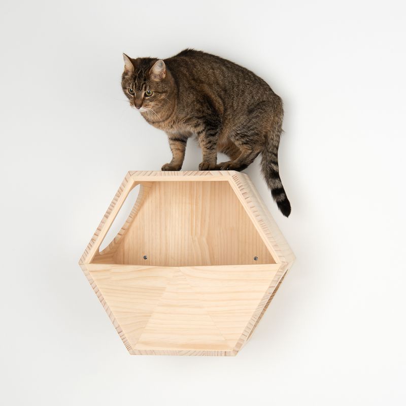 Lulu Wall Mounted Cat Den 49 x 30 x 42.5cm (L x W x H)