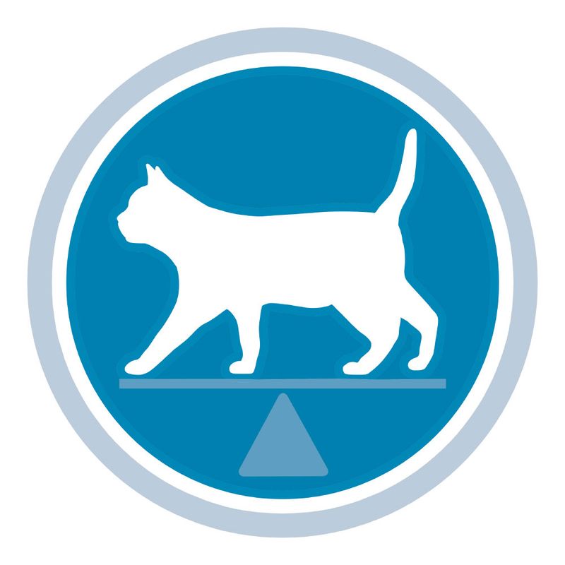 PURINA ONE Sterilised Salmon 1,5 kg