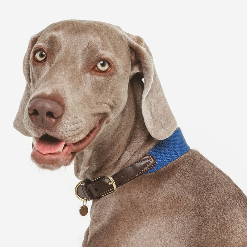 Nomad Tales Bloom Necklace, sapphire Size XL: approx. 52 - 58 cm neck circumference, W 38 mm