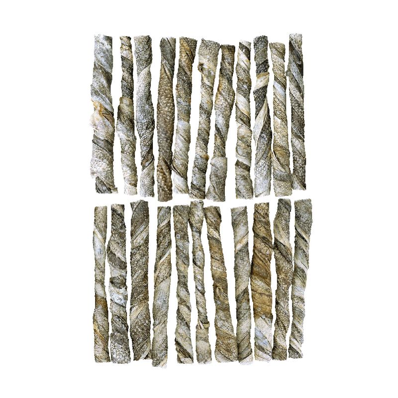 Braaaf Salmon Roll Stick 2 x 12 cm (140 g)