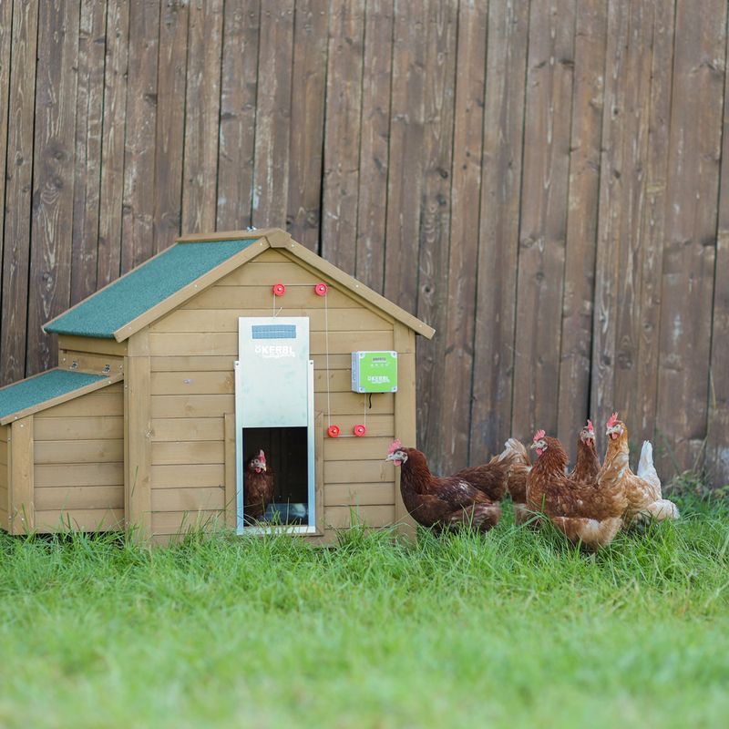 Kerbl Hobbyfarming Automatic Sliding Door for Chicken Coops 40 x 43cm (W x H)