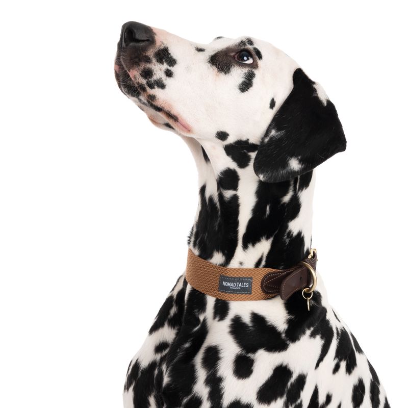 Nomad Tales Bloom Collar, caramel Size M: 40 - 46 neck circumference, W 32 mm