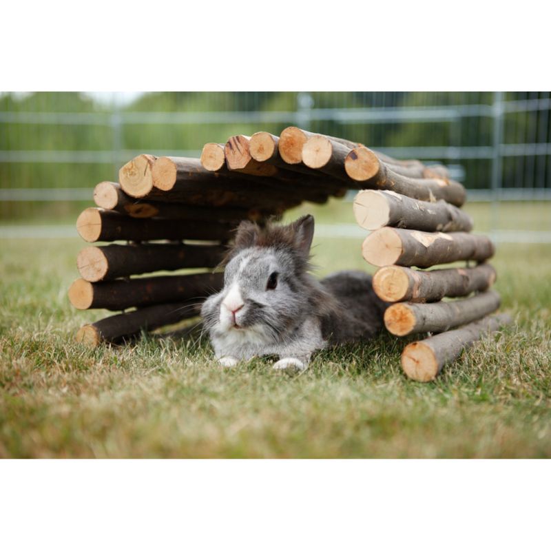 Trixie bridge L 22 x W x H 10 x 1.5 cm