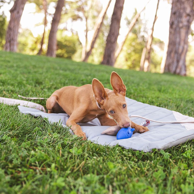 Nomad Tales Bloom snack toy Rocket Size S: Ø 4.6 x H 9.5 cm