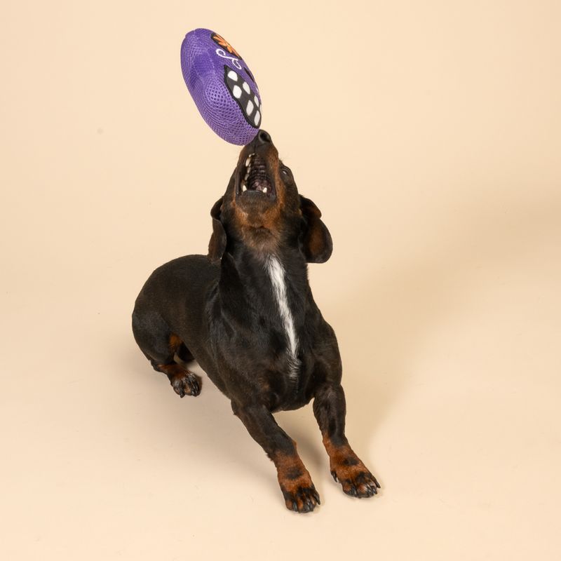 TIAKI Catrina Dog Toy approx. 15 x 13 x 6 cm (L x W x H)