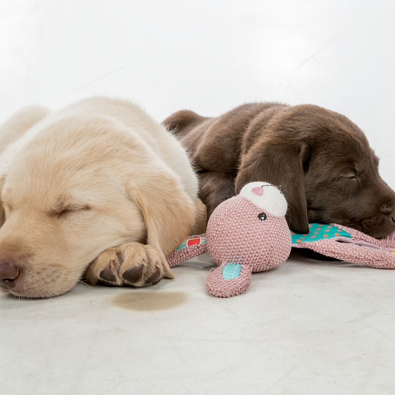 Trixie Junior Bunny approx. 28cm