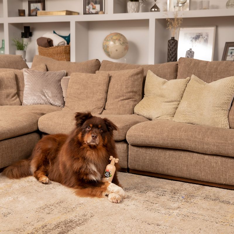 Pet Head Sensitive Soul Shampoo (300ml)