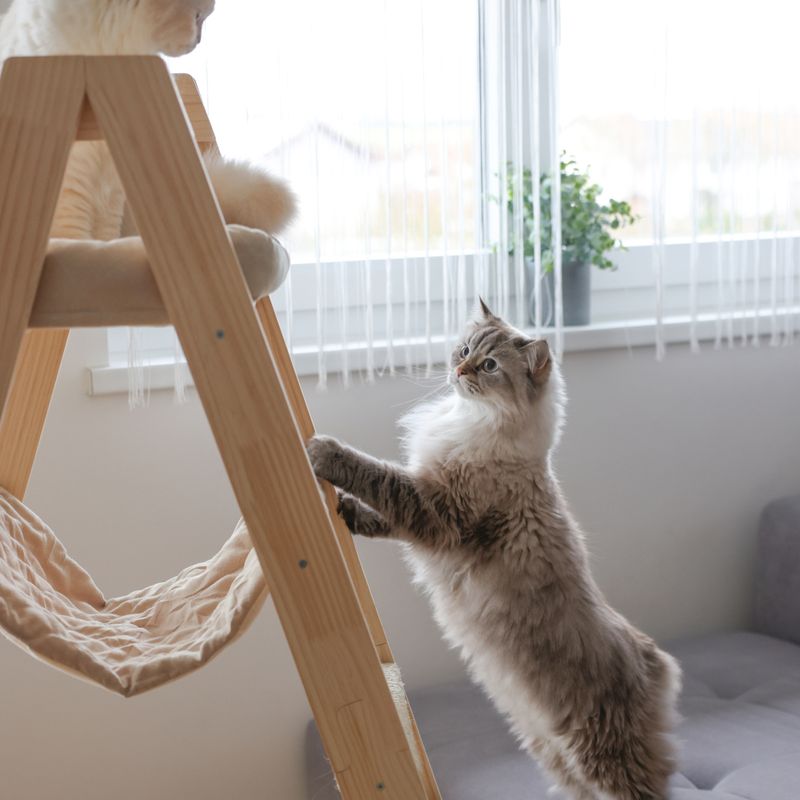 Kerbl Pet Ladder Scratching Post Beige