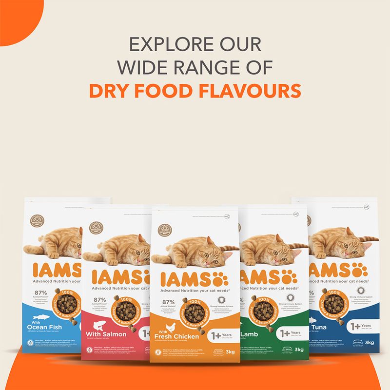 IAMS Advanced Nutrition Adult Cat with Salmon 3kg