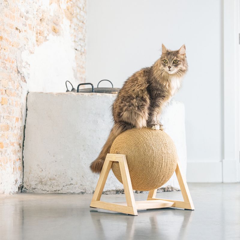 Designed by Lotte Xem Scratching Ball with Base 34 x 30 x 35.5cm (L x W x H)