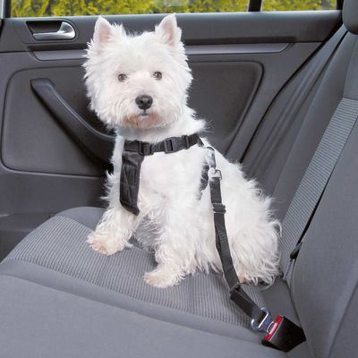 Trixie Dog Car Harness S