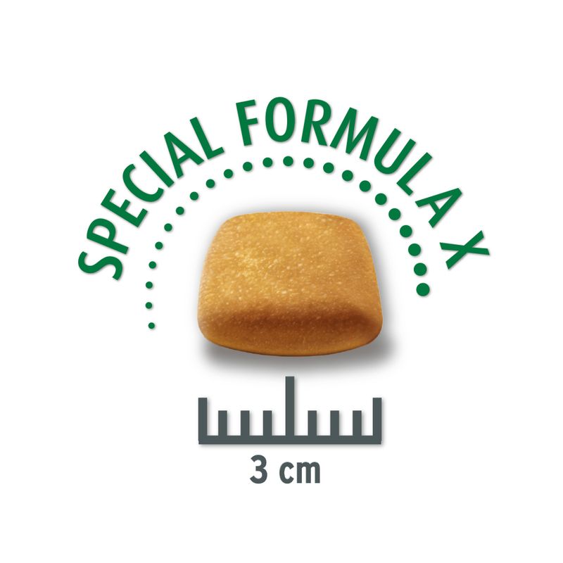 Concept for Life Economy Packs Labrador Sterilised (2 x 12kg)