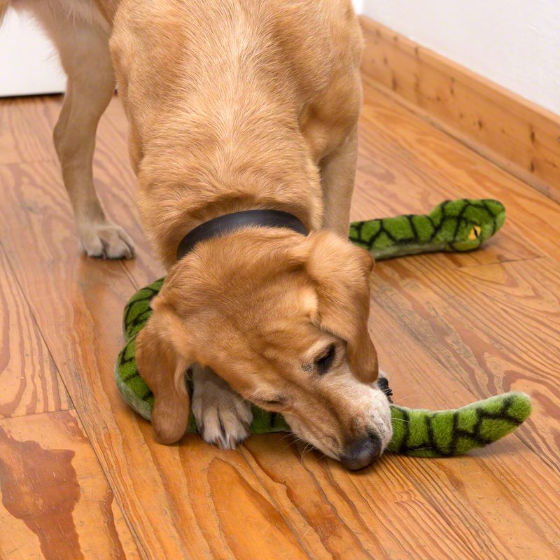 Giant Snake Dog Toy 110 x 6 x 5 cm (L x W x H)