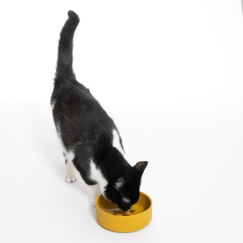 Warner Bros™ Harry Potter Silicone Bowl 580ml, diameter 14cm