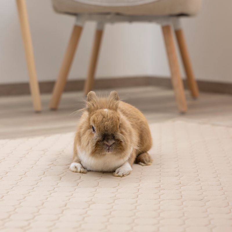 Kerbl Pet Washable Urine Pad - Brown 140 x 100cm (L x W)