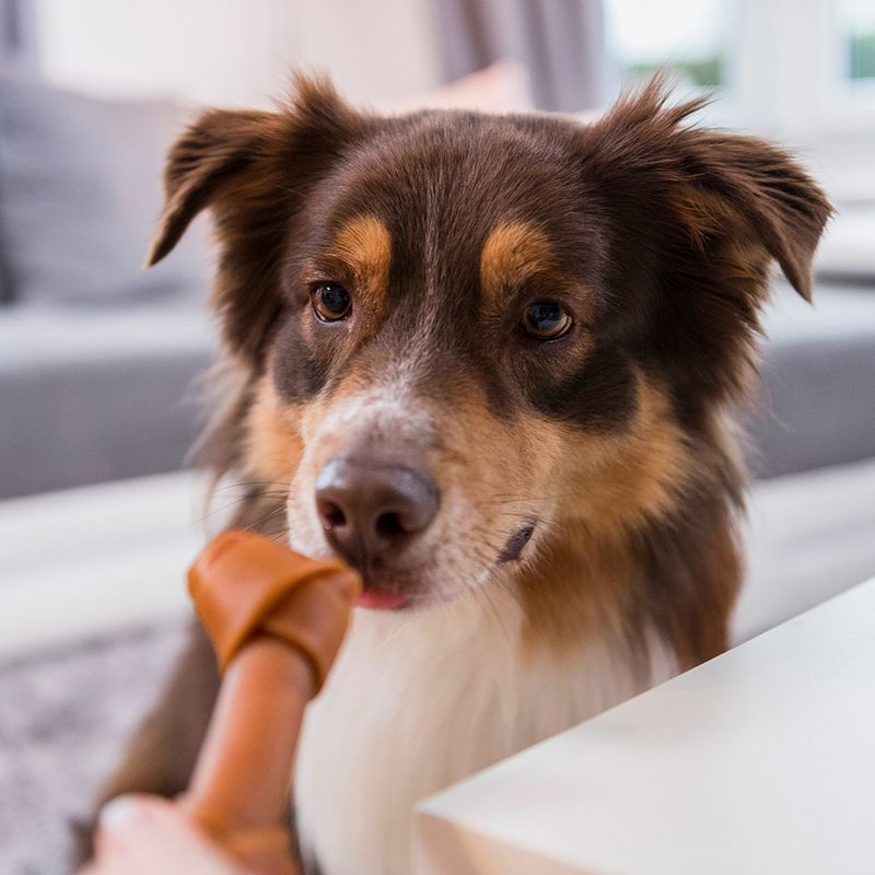 SmartBones Beef Bones for Medium Dogs 2 Bones
