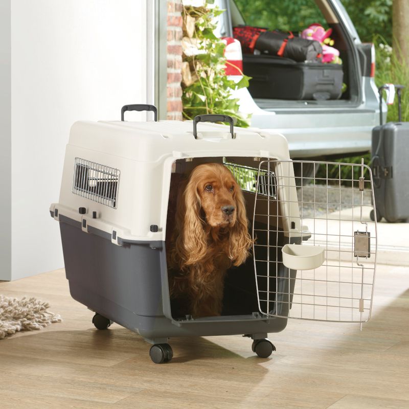 Feria Transport Crate with Wheels Size 5 (M): Dark Grey / Beige