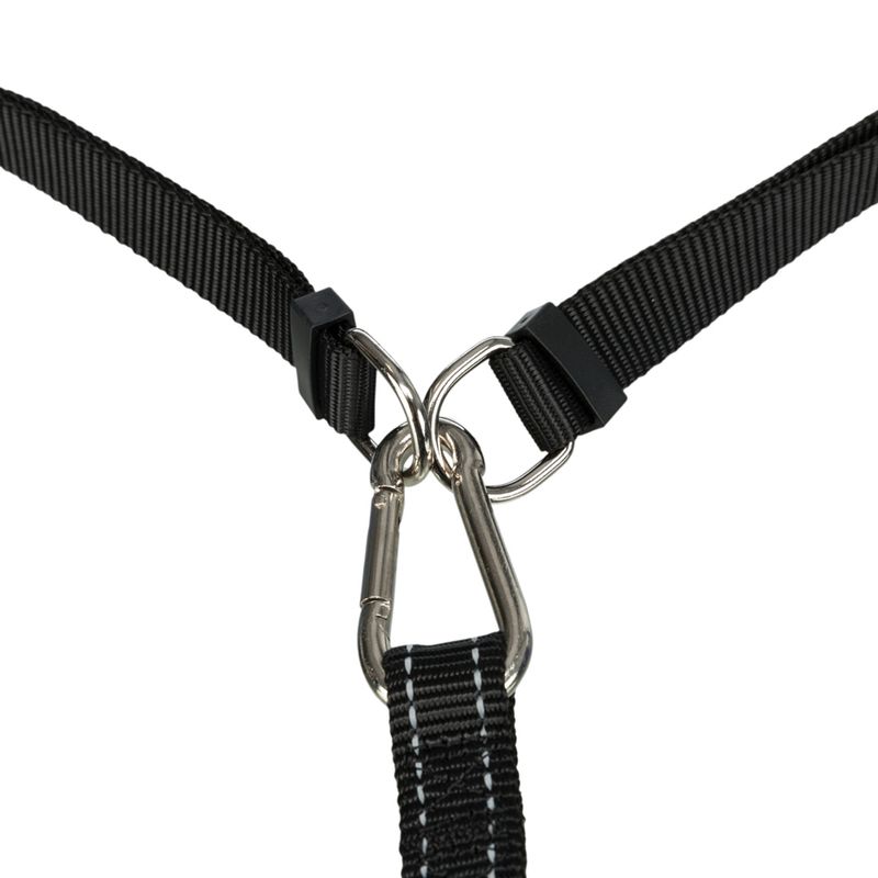Trixie Harness with Lead 150cm x 20mm (L x W)