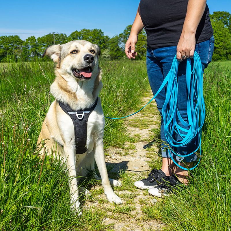 Pawz & Pepper Strong Tracking Line - Blue 5m length, 20mm width