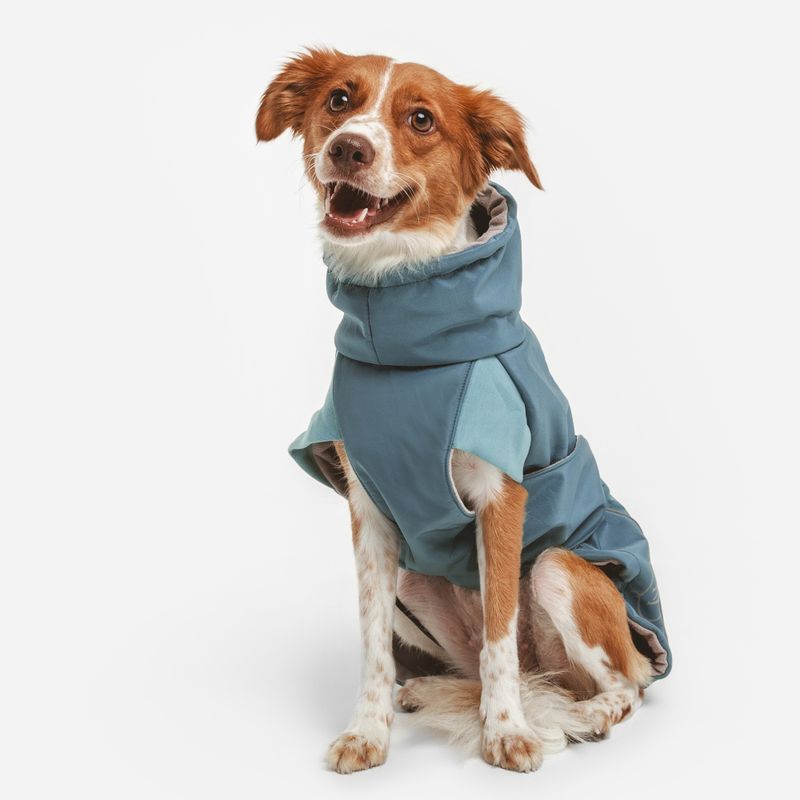 Nomad Tales Spirit Softshell Dog Coat - Pacific approx. 35cm Back Length