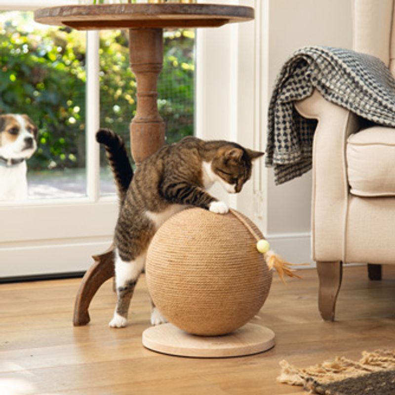 Designed by Lotte Balty XL Wooden Scratching Ball 30 x 31.5cm (diameter x H)