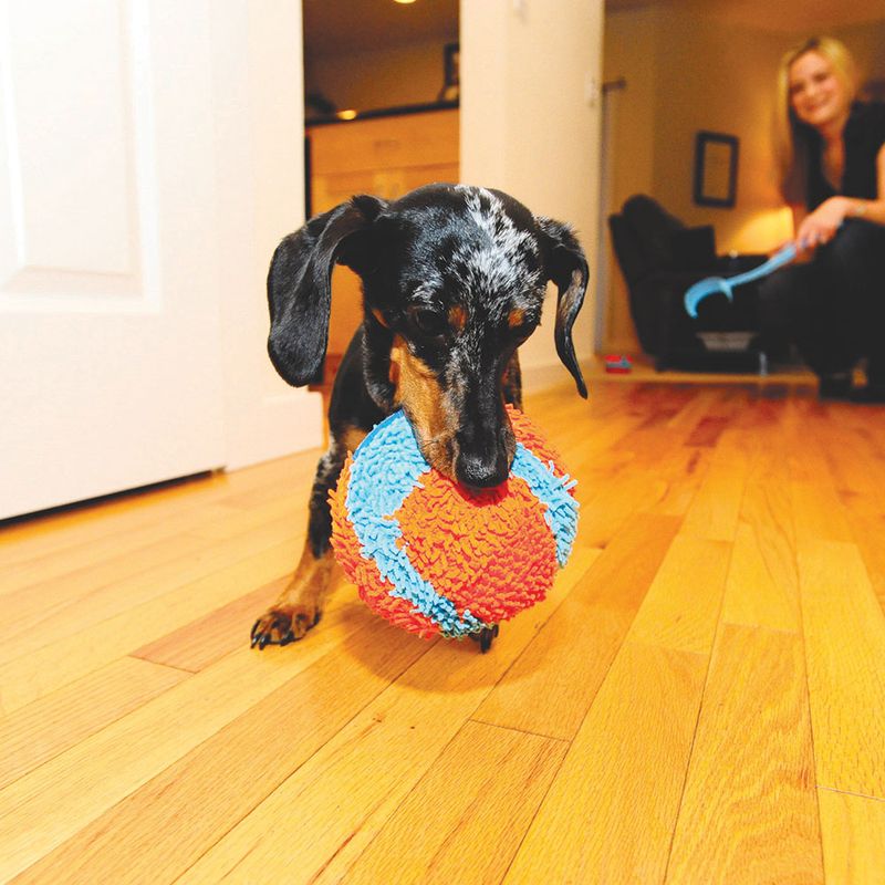 Chuckit! Indoor Ball Size L: Diameter 12cm