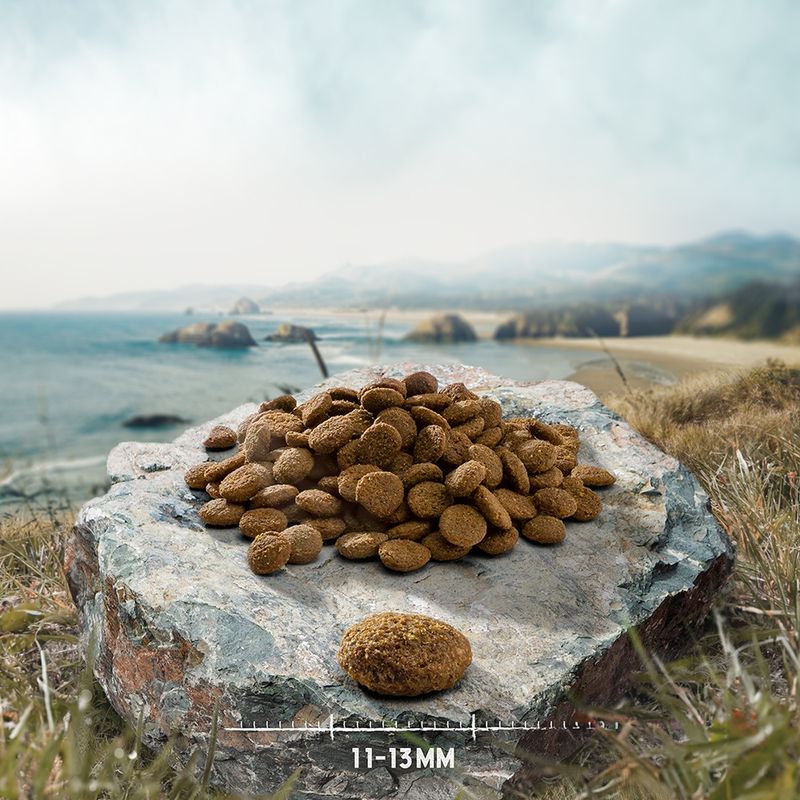 Purizon Senior Black Angus Beef with Turkey - Grain-Free 1kg