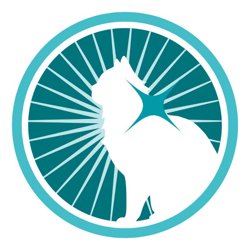 PURINA ONE Urinary Care Chicken 450 g