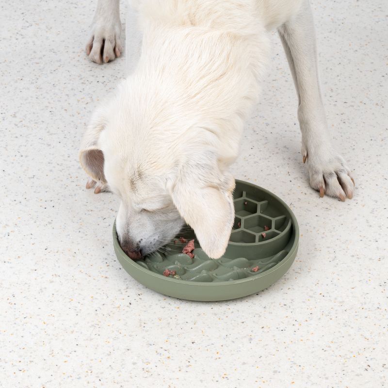 TIAKI Honeycomb Silicone Slow Feeder approx. 19 x 3.5cm (Diameter x H)