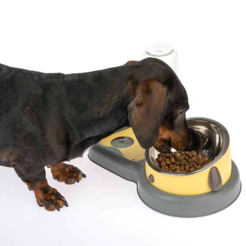 TIAKI Food and Water Dispenser 2-in-1 200ml Bowl & 500ml Bottle