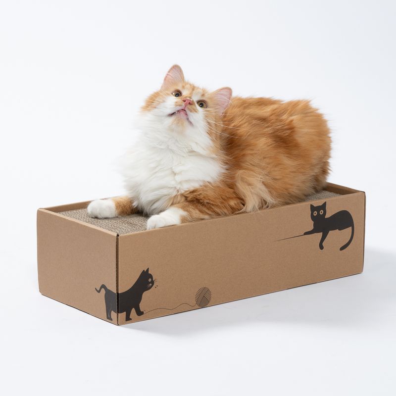 zooplus Basics Box with 4 Scratching Boards 44 x 20 x 12.5 cm (L x W x H)