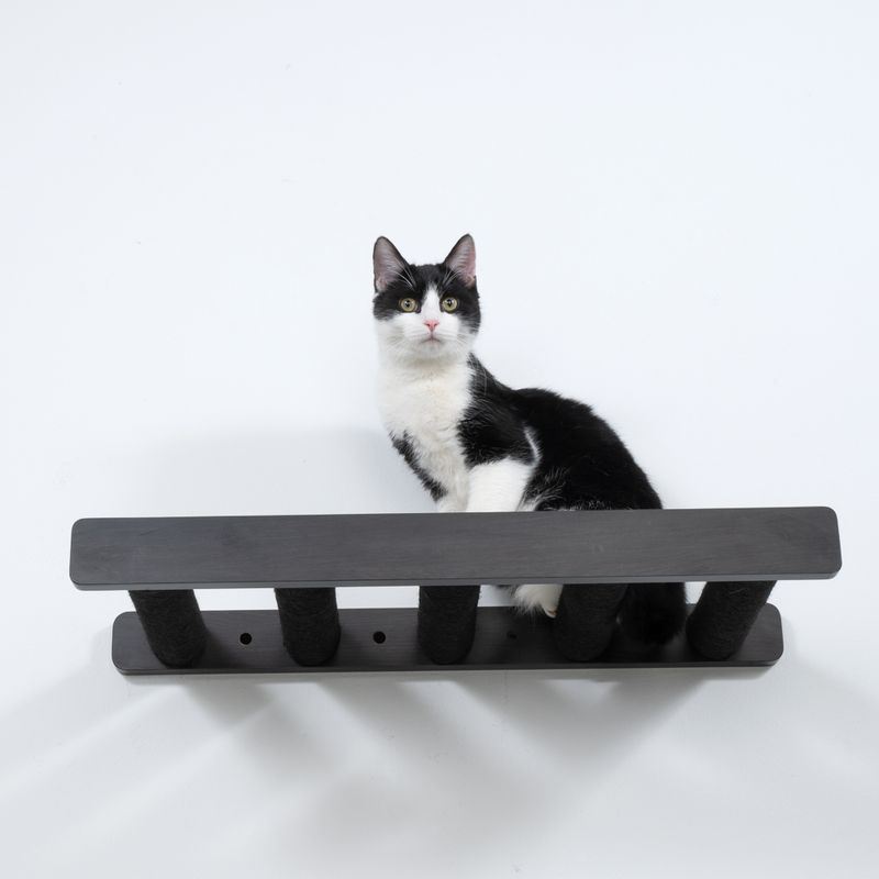 Modern Living San Francisco Scratching Ladder Black