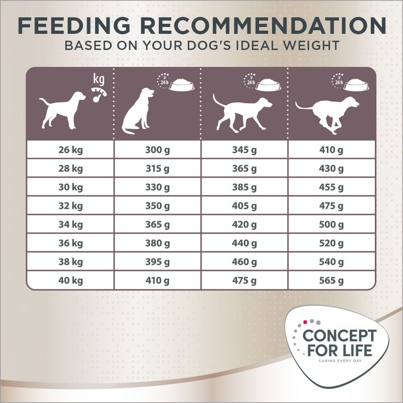 Concept for Life Labrador Retriever Adult 1.5kg