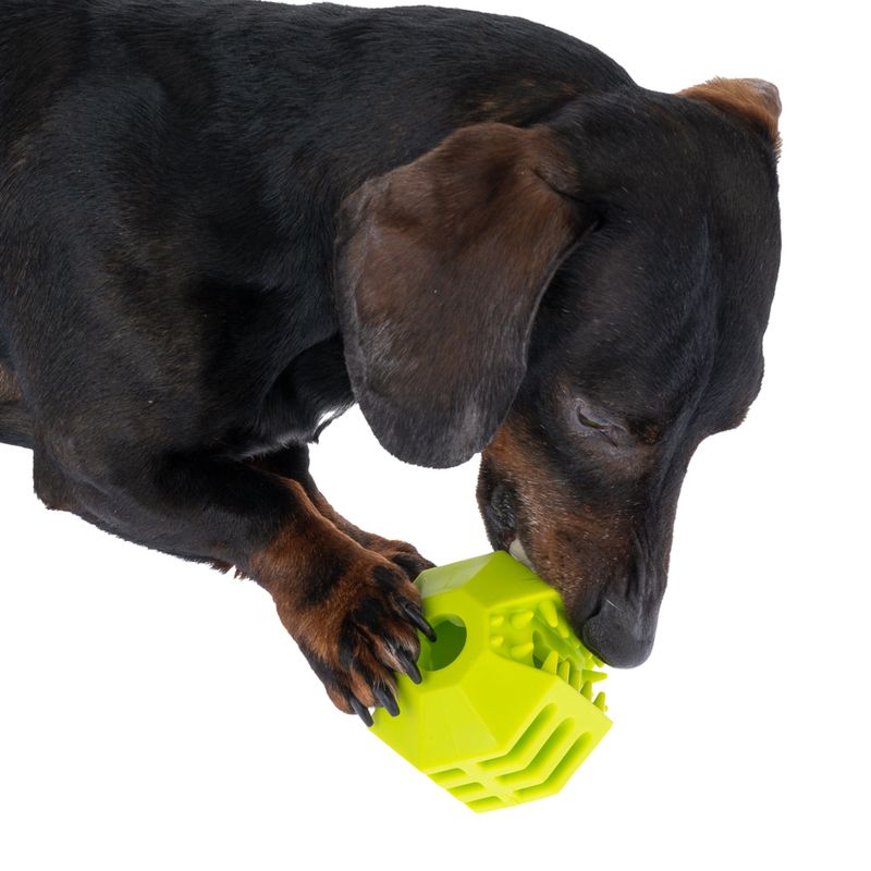 zooplus Basics TPR Snack Ball Set diameter 7cm