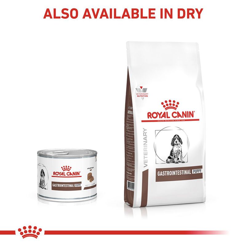Royal Canin Veterinary Canine Puppy Gastrointestinal Ultra Soft Mousse 12 x 195g