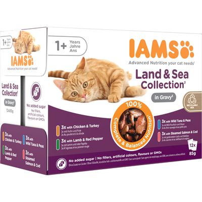 IAMS Advanced Nutrition Adult – Land & Sea Collection in Jelly (12 x 85g)