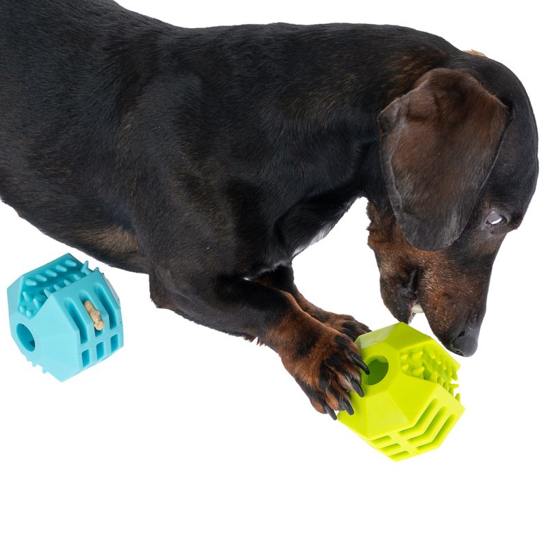 zooplus Basics TPR Snack Ball Set diameter 7cm